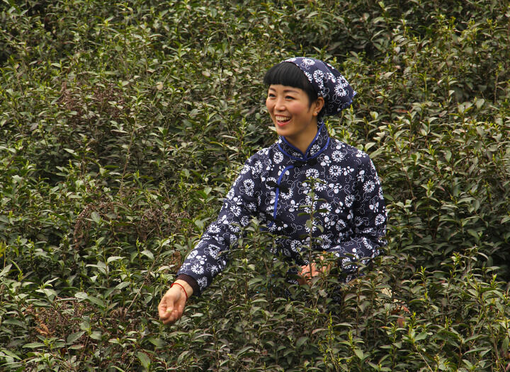 百丽直播5589入口 热门2